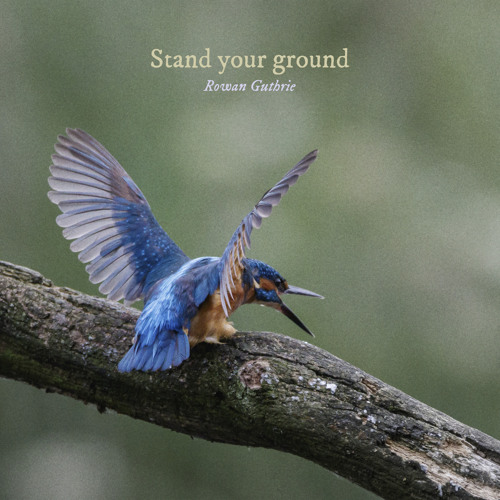 Stand your ground