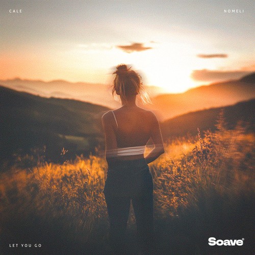 Cale & Nomeli - Let You Go