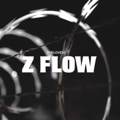 SheLovesZ - Z Flow