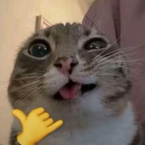 HIP KHÔNG PHẢI HOP | GIÀNG A LIT