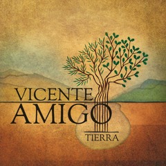 Stream Campo de la Verdad (Bulería) by Vicente Amigo | Listen