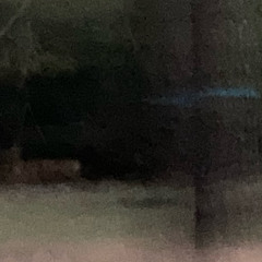 Slivered Little Thing