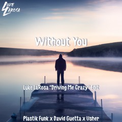 Plastic Funk X David Guetta - Without You (Luke LaRosa "Driving Me Crazy" Edit)