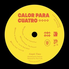 Various Artists (DJ Gamba, Liquid Earth...) - Calor Para Cuatro (STS001)