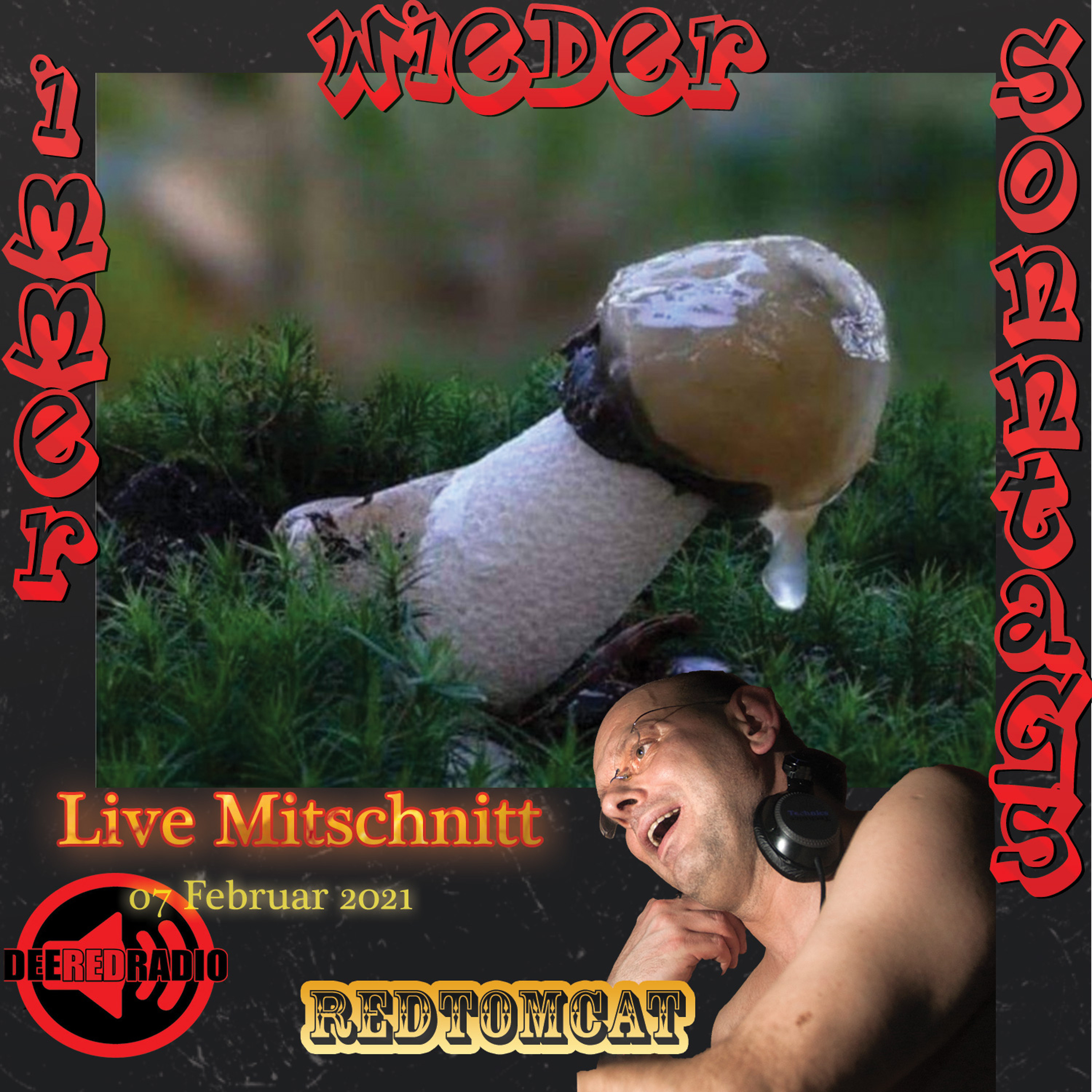 Dj  RedtomCat