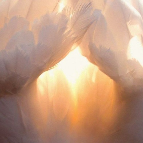 Sad World / Happy World