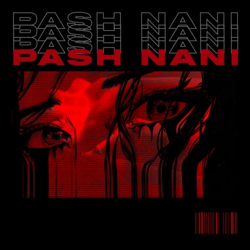 Pash - Nani