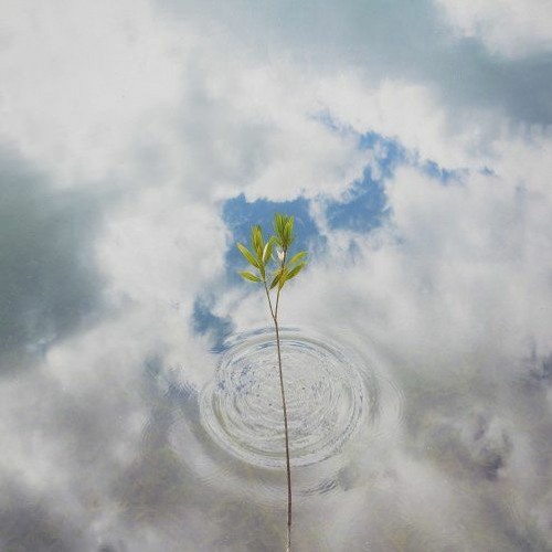 Donato - Where I Belong