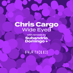 Chris Cargo - Wide Eyed (Domingo + Remix)