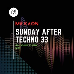 Sunday After Techno 33