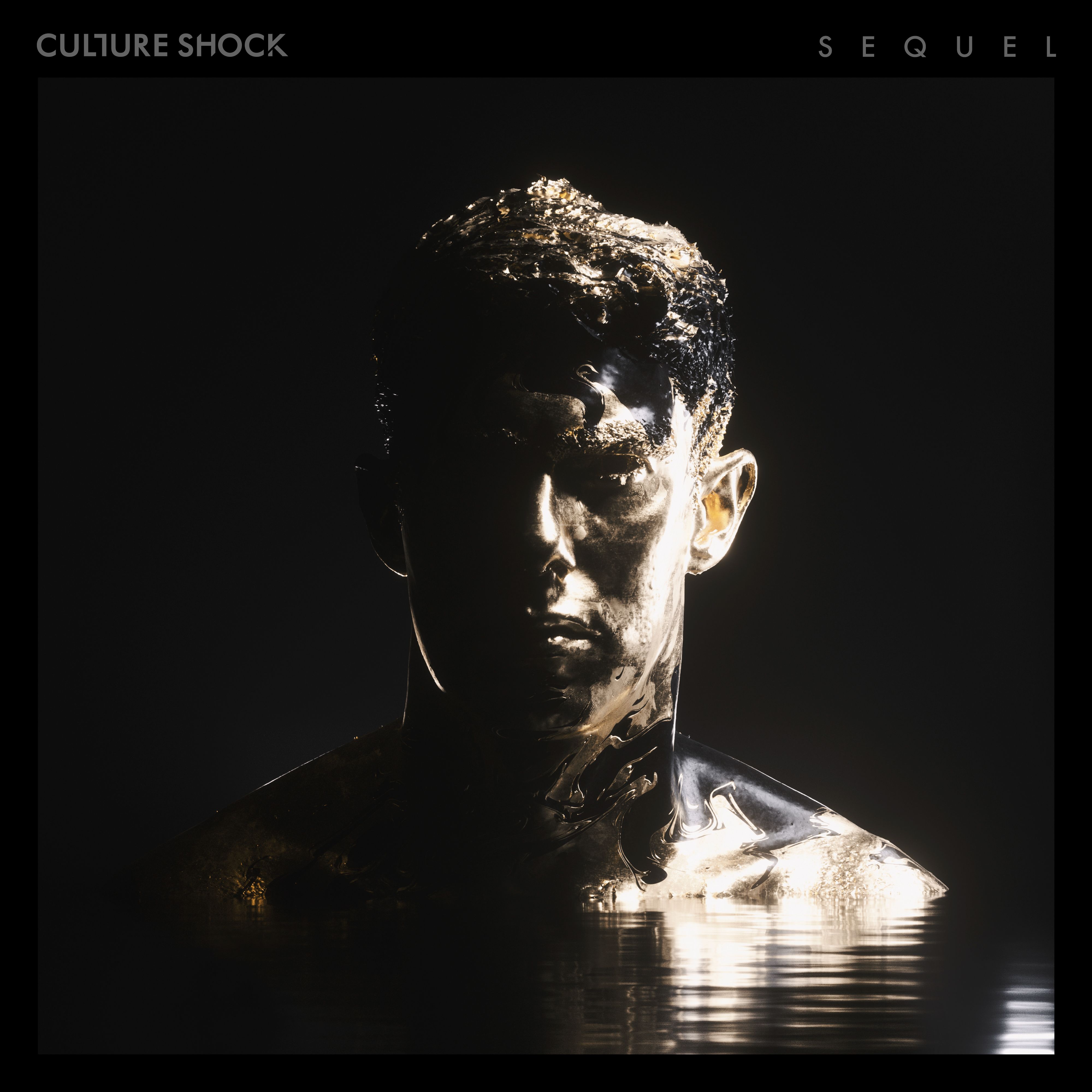 Culture Shock - Lost (Pola & Bryson Remix)