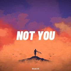 Alan Walker - Not You (Shinki Lofi Remix)