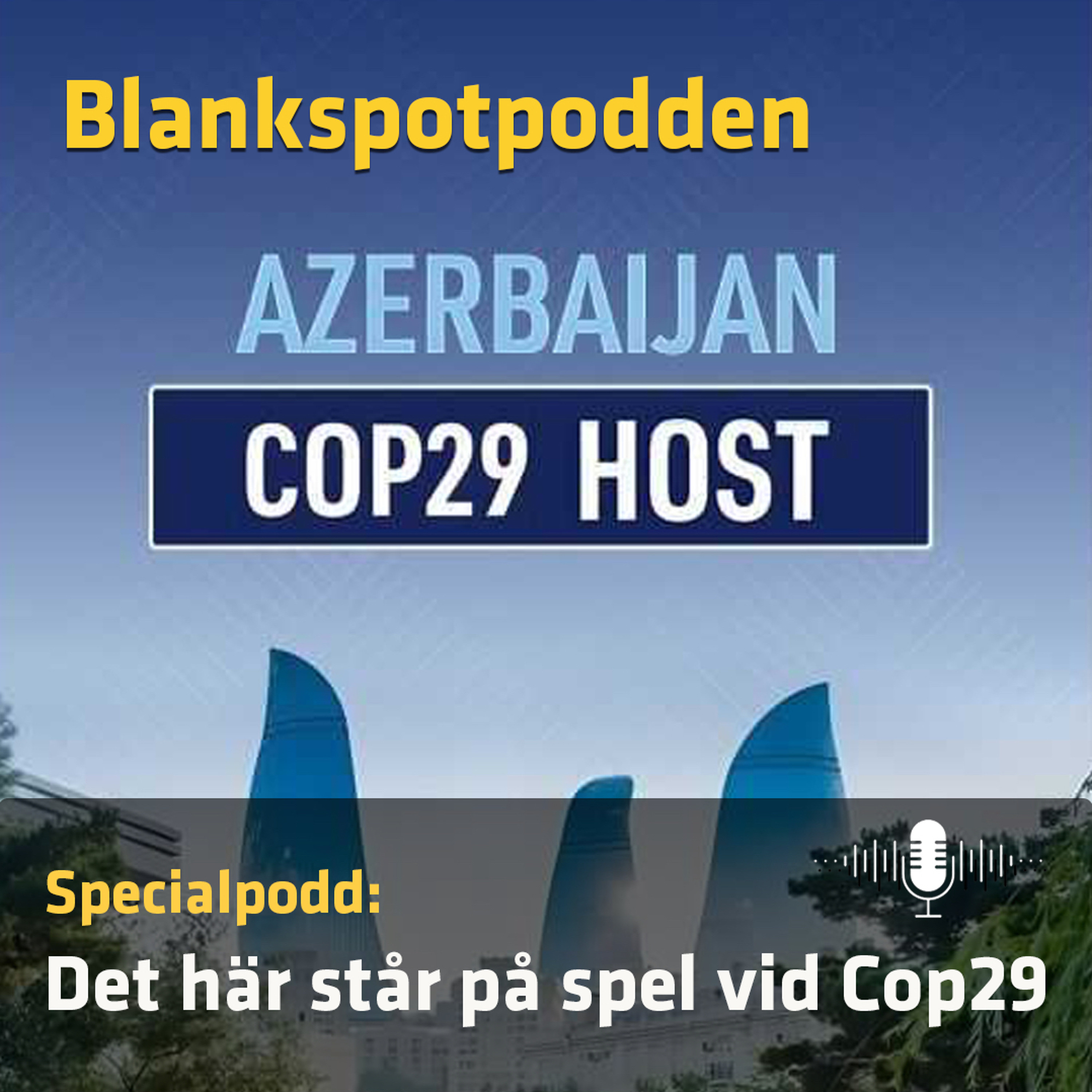 Blankspotpodden