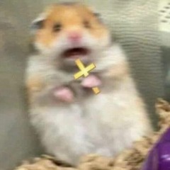 Hamster klaplong