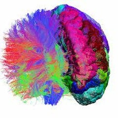 KRAE- DIFFUSION    _instrumental_