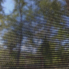 Prince Ish - Got It Right (Clean)