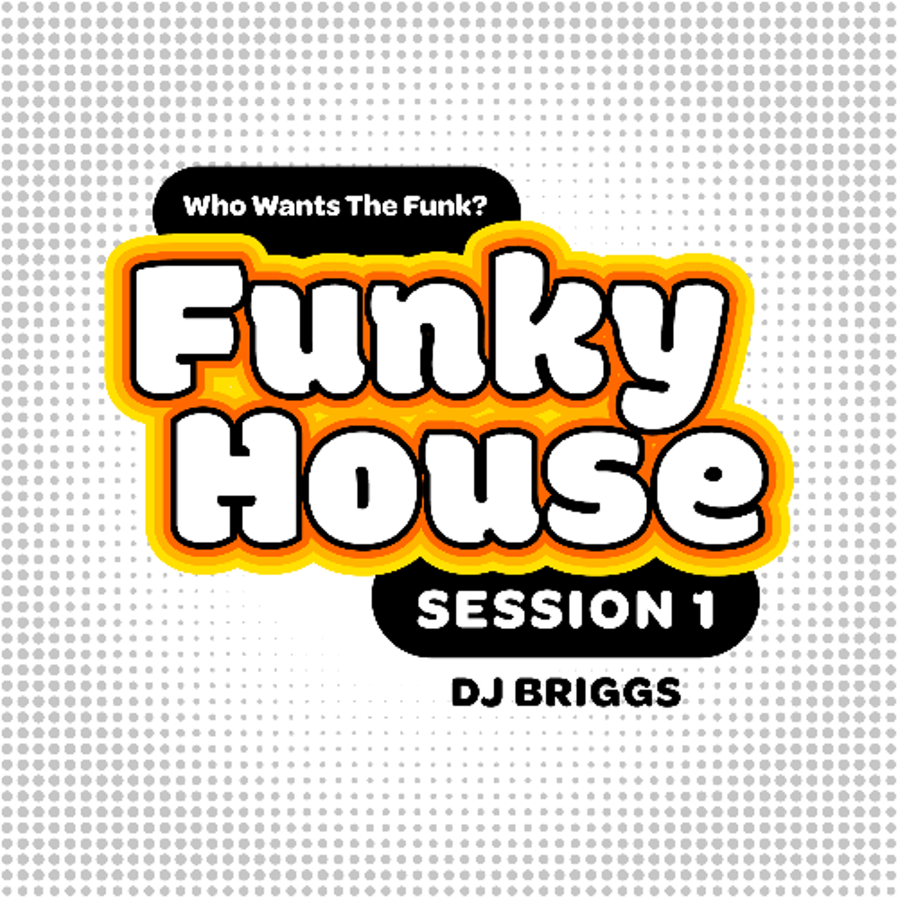 FUNKY HOUSE S1 - Dj Briggs episode artwork