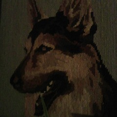 Bootleg Consenti Volume 1 (2024)