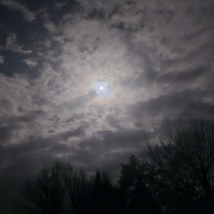 Jam for an early Christmas.