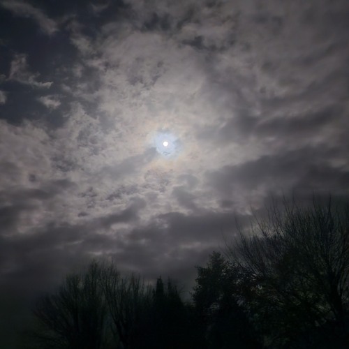 Jam for an early Christmas.