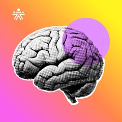 Lectura 2 |  Creadores en la Era del Ruido: Evidencia y Estrategias para Proteger tu Mente.
