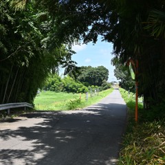 46.1 Summer Day 1 BPM 120 20250810-1