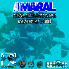 Amaral - Sebas, Guille y los demas (DJ Aleks 2k25 Remix Edit)