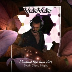 VeloVelo - Live @ NASP - Sloth Disco Night