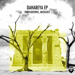 PREMIERE : Darksidevinyl & Mizology - Watch Your back (Original Mix) [Leisure Music]