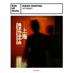 PREMIERE: Diego Montiel - Beyond Duality [SUW028]