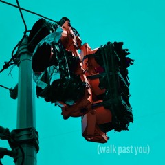 Walk Past You