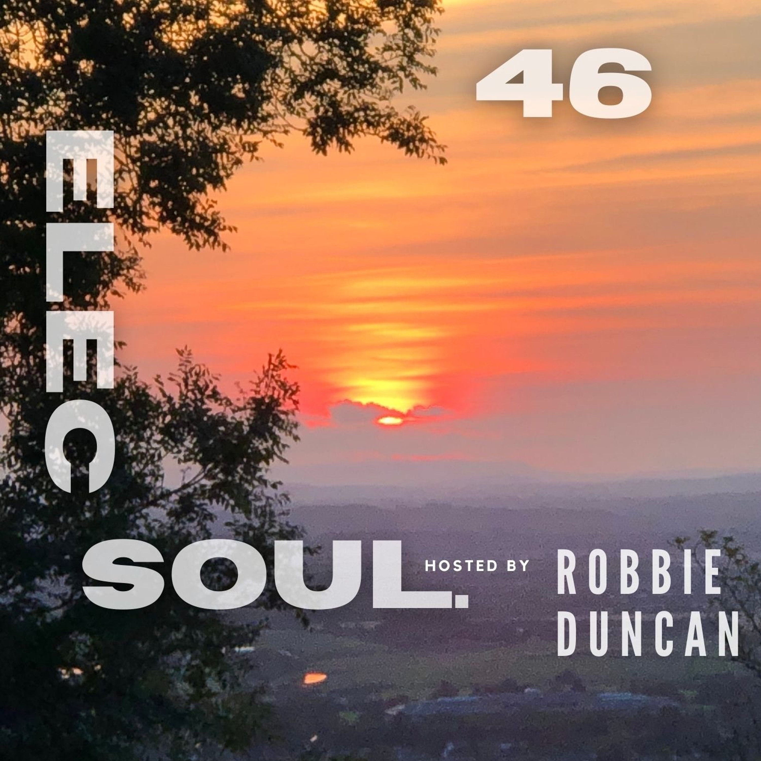 ElecSoul