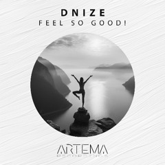 Dnize - Feel so Good! (Artema Recordings)