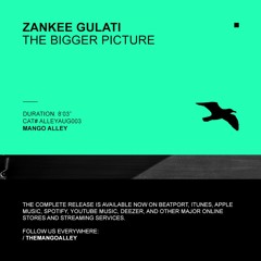 Zankee Gulati - The Bigger Picture (Original Mix) [Mango Alley]