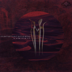 Luzinski - Metamorphosia
