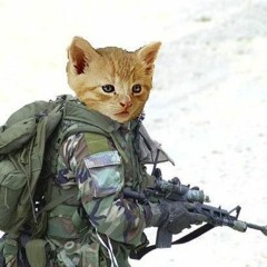 CAT WARFARE (dedicated to all cats who listen this song)