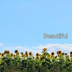 Aldo Haydar Pres. Beautiful (New Dj Mix)