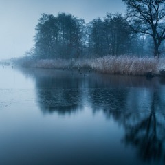 frozen
