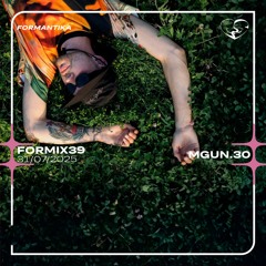 FORMIX39: MGUN.30