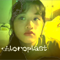 chloroplast (demo)