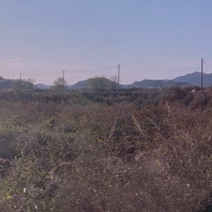 묘해 - 덕수 X 부또황