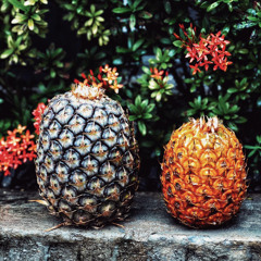 DJ TOA - WORK IT x 2BOB x HITANGI MAI REMIX 2023.mp3