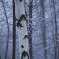 Frozen - (skrillah x michael fournier x pulp k)