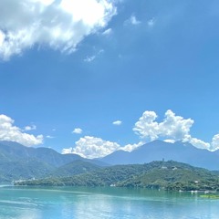 生命的子粒