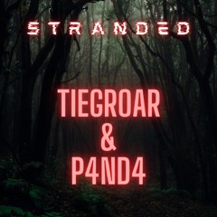 TIEGROAR X P4ND4 - STRANDED