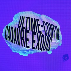 ULTIME CONFIN (CADAVRE EXQUIS MUSICAL PAR 13 ARTISTES)