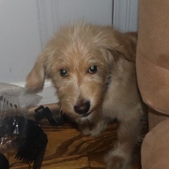 JAKE !