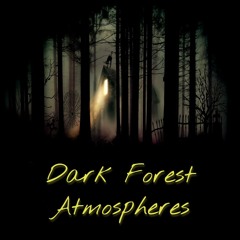 Forest Atmosphere 1