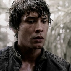 im not afraid anymore