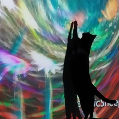 DNB ++ ¦ Sep26